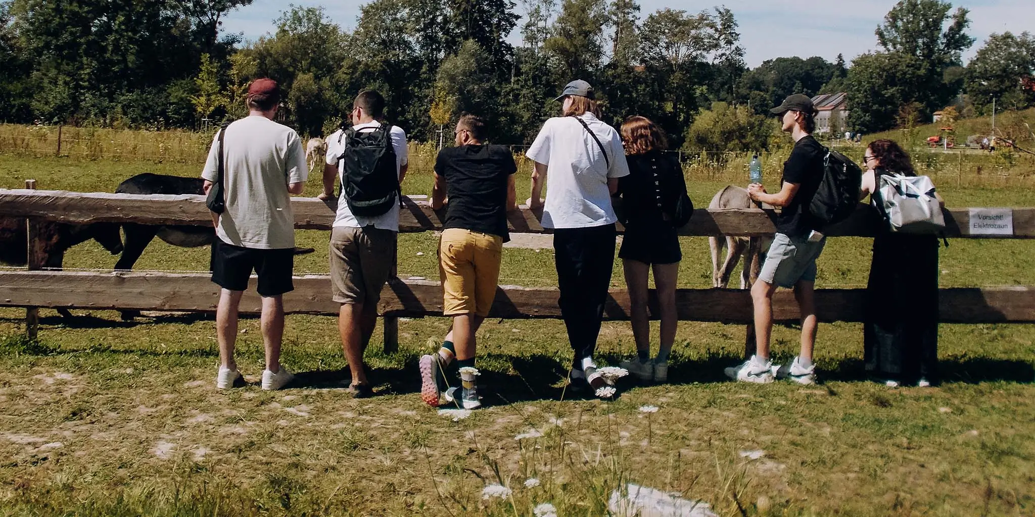 Isenhoff Team lehnt an einem Holzzaun, der eine Weide mit Esel einzäunt.